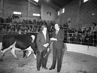 Claremorris Mart October 1977. - Lyons0013474.jpg  Claremorris Mart October 1977. : 19771014 Claremorris Mart for NCF 3.tif, Claremorris, Farmers Journal, Lyons collection