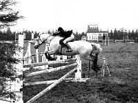 Claremorris Agricultural Show, August 1980. - Lyons0013495.jpg  Claremorris Agricultural Show, August 1980. : 19800813 Claremorris Agricultural Show 4.tif, Claremorris, Lyons collection