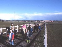 Hanleys' Riding School Claremorris, February, 1989. - Lyons0013526.jpg  Hanleys' Riding School Claremorris, February, 1989.  Young riders on a well-fenced trek. : 19900216 Hanley's Riding School Claremorris 3.tif, Claremorris, Farmers Journal, Lyons collection