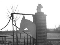 Hanleys' Riding School Claremorris, February, 1989. - Lyons0013529.jpg  Hanleys' Riding School Claremorris, February, 1989. : 19900216 Hanley's Riding School Claremorris 6.tif, Claremorris, Farmers Journal, Lyons collection