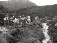 Reek Sunday, Climbing Croagh Patrick, 1992 - Lyons00-20618.jpg  Climbing Croagh Patrick on Reek Sunday. : 19920726 Reek Sunday 2.tif, Croagh Patrick, Lyons collection