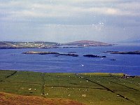 Inish Shark Island 1988 - Lyons00-20865.jpg