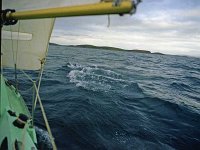 Inishbofin seascape and landscape - Lyons0009260.jpg  Inishbofin - landscape and seascape