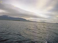 Inishbofin seascape and landscape - Lyons0009263.jpg  Inishbofin - landscape and seascape