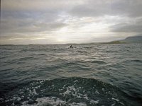 Inishbofin seascape and landscape - Lyons0009266.jpg  Inishbofin - landscape and seascape