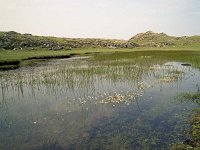 Inishbofin seascape and landscape - Lyons0009272.jpg  Inishbofin - landscape and seascape