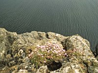 Inishbofin seascape and landscape - Lyons0009276.jpg  Inishbofin - landscape and seascape