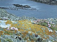 Inishbofin seascape and landscape - Lyons0009279.jpg  Inishbofin - landscape and seascape