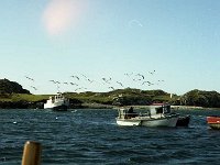 Inishbofin seascape and landscape - Lyons0009285.jpg  Inishbofin - landscape and seascape