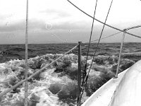 Sailing to Inishturk - Lyons0008839.jpg  Following seas as they arrive on Inishturk on the White Seahorse. (Neg 16A 17) : 1984 Inish Turk 4.tif, Inish Turk, Lyons collection