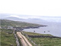 The road to the harbour in Inishturk - Lyons0008848.jpg  The road to the harbour in Inishturk. It has since been tarmacadamed. (Neg 6 7) : 1986 Inish Turk 9.tif, Inish Turk, Lyons collection