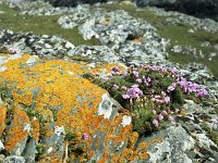 Inishturk colours in abundance. - Lyons0008899.jpg  Inishturk colours in abundance. (Neg 35) : 198806 Inishturk 3.tif, Inish Turk, Lyons collection