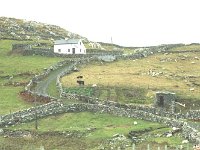 Cottage on Inishturk - Lyons0008912.jpg  Inishturk: The cottage owned by Mary Catherine and Bill Heanue. In the foreground is a potatoe and cottage garden. (Neg 16 16A) : 199611 Cottage on Inish Turk.tif, Inish Turk, Lyons collection