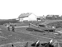 Inishtturk children. - Lyons0008917.jpg  Inishtturk children. (Neg 19 16A) : 19811129 Inish Turk 6.tif, Inish Turk, Lyons collection