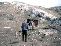 Inishturk: John Joe coming back from the bog. - Lyons0009000.jpg  Inishturk: John Joe coming back from the bog. (Neg 3A 4) : 199210 Inish Turk 58.tif, 19921001 Inish Turk 58.tif, Inish Turk, Lyons collection