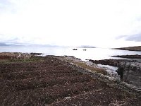 Paddy Faherty's potato ridges in front of his house on Inishturk - Lyons0009063.jpg  Paddy Faherty's potatoe ridges infront of his house on Inishturk. (Neg 9 9A) : 19921003 Inish Turk 14.tif, Inish Turk, Lyons collection