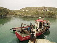 Harbour scene, Inishturk - Lyons0009066.jpg  Harbour scene, Inishturk. (Neg 24) : 19921004 Inish Turk 1.tif, Inish Turk, Lyons collection