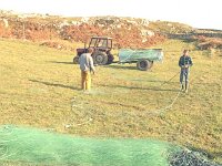 Inishturk: Heanue boys repairing their nets. - Lyons0009084.jpg  Inishturk: Heanue boys repairing their nets. (Neg 2 2A) : 19921005 Inish Turk 1.tif, Inish Turk, Lyons collection