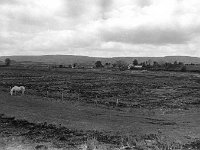 Gaa field in Kiltimagh, May 1969. - Lyons0017955.jpg  Gaa field in Kiltimagh, May 1969.