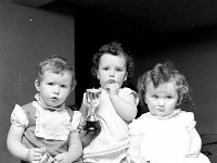 Bonny Baby Competition in Kiltimagh, July 1972. - Lyons0018009.jpg  Bonny Baby Competition in Kiltimagh, July 1972. : 1972, 1972 Misc, 19720723, 19720723 Bonny Baby Competition in Kiltimagh 3.tif, 3.tif, Baby, Bonny, collection, Competition, in, Kiltimagh, Lyons, Lyons collection, Misc