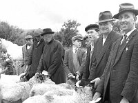 Louisburgh Show, August 1967. - Lyons0018289.jpg  Louisburgh Show, August 1967. : 1967 Misc, 19670816 Louisburg Show 7.tif, 19670816 Louisburgh Show 7.tif, Louisburgh, Lyons collection