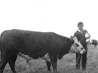 Louisburgh Show, August 1967. - Lyons0018293.jpg  Louisburgh Show, August 1967. : 1967 Misc, 19670816 Louisburg Show 14.tif, 19670816 Louisburgh Show 11.tif, Louisburgh, Lyons collection