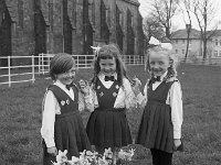 Redmond school of dancing, Louisburgh April 1970. - Lyons0018321.jpg  Redmond school of dancing, Louisburgh April 1970.  Three members of the Primary dance class : 19700424 Redmond School of dancing 1.tif, Louisburgh, Lyons collection