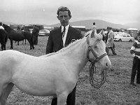 Louisburgh Horseshow, June 1970. - Lyons0018334.jpg  Louisburgh Horseshow, June 1970. : 19700628 Louisburgh Horseshow 4.tif, Louisburgh Horseshow, Lyons collection