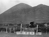 Louisburgh Horseshow, June 1973. - Lyons0018371.jpg  Louisburgh Horseshow, June 1973.. : 19730625 Louisburgh Horseshow 3.tif, Louisburgh Horseshow, Lyons collection