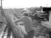 Tommy Joyce Holiday Cottages in Louisburgh - Lyons0018402.jpg  Tommy Joyce Holiday Cottages in Louisburgh for Jim Creed Aras Failte. March 1980. : 19800303 Louisburgh Holiday Cottages 1.tif, Louisburgh, Lyons collection