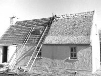 Tommy Joyce Holiday Cottages in Louisburgh - Lyons0018406.jpg  Tommy Joyce Holiday Cottages in Louisburgh for Jim Creed Aras Failte. March 1980. : 19800303 Louisburgh Holiday Cottages 5.tif, Louisburgh, Lyons collection