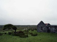 Old cottage ruin, Louisburgh, June 1984. - Lyons0018453.jpg  Old cottage ruin, Louisburgh, June 1984.