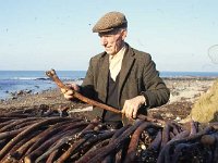 Louisburgh beaches, bounty hunters, January 1987. - Lyons0018484.jpg  Tom Heaney looking at a searod.  Louisburgh beaches, bounty hunters, January 1987. : 19870124 Bounty Hunters 4.tif, Farmers Journal, Louisburgh, Lyons collection