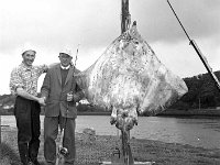 Newport Festival, August 1966. - Lyons0016309.jpg  Newport Festival, August 1966. Jack Stack with his record skate being congratulated by Johnny McGovern during the Newport festival. : 196608 Newport Festival 16.tif, Lyons collection, Newport