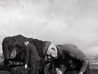 Clew Bay Seaweed plant, November 1969. - Lyons0016393.jpg  Clew Bay Seaweed plant in Newport. Proprietor Myles Staunton, November 1969. : 19700223 Clew Bay Seaweed 3.tif, Lyons collection, Newport