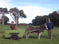 The Chambers family with Mr Corley senior , Newport August 1970. - Lyons0016398.jpg  The Chambers family with Mr Corley senior with a donkey and cart, Newport August 1970. : 19700810 Mr Corley senior & Mr Corley junior .tif, 19700810 Mr Curley senior & Mr curley junior.tif, Lyons collection, Newport