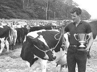 Newport Show, August 1972. - Lyons0016409.jpg  Michael Kelly, Newport with his prize-winning freisian cow.   Newport Show, August 1972. : 19720830 Newport Show 5.tif, Farmers Journal, Lyons collection, Newport