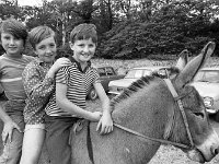 Newport Show, August 1972. - Lyons0016411.jpg  Three happy children on the donkey's back. Newport Show, August 1972. : 19720830 Newport Show 7.tif, Farmers Journal, Lyons collection, Newport