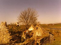 Princess' Grace ancestral home, Newport, April 1976. - Lyons0016448.jpg  Princess' Grace ancestral home, Newport, April 1976..