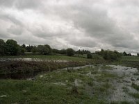 Flooded land, Swinford - Lyons0008774.jpg  Flooded land, Swinford