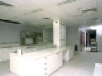 - Lyons0020417.jpg  New laboratory in Allergan, November 1995 : 19951120 New laboratory in Allergan 2.tif, Allergan