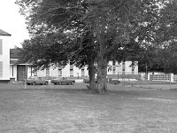 Belclare House, 1975. - Lyons00-21414.jpg  The lovely trees at the back of the Hotel. : 19750626 Belclare House 2.tif, Belclare House, Lyons collection