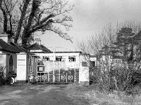 Belclare House, 1985. - Lyons00-21434.jpg  Belclare House in ruins. : 19850307 Belclare House in ruins 10.tif, Belclare House, Lyons collection