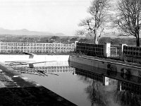 Belclare House, 1985. - Lyons00-21436.jpg  Belclare House in ruins. The outdoor swimming pool. : 19850307 Belclare House in ruins 12.tif, Belclare House, Lyons collection