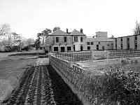 Belclare House, 1985. - Lyons00-21439.jpg  Belclare House in ruins. : 19850307 Belclare House in ruins 15.tif, Belclare House, Lyons collection