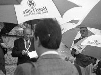 Entente Florale, August 1992. - Lyons0019791 1.jpg  Chairman UDC J P Campbell welcoming the international judges at the " Entente Florale " competition. At left Cllr Sean Staunton. August 1992 : 19920825 Judging of Entente Floral 2.tif, Lyons collection, Westport Developing