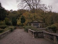 The gardens at Westport House, November 1979. - Lyons0018954.jpg  The gardens at Westport House, November 1979