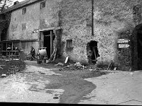 Work starting on the Holiday Club in Westport House, March 1981 - Lyons0018968.jpg  Work starting on the Holiday Club in Westport House, March 1981 : 198103 Work starting on the Holiday Club in Westport House 1.tif, Lyons collection, Westport House