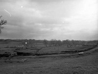 Caravan and camping site, Westport House, March 1982 - Lyons0018991.jpg  Clearing the site and developing for caravan and camping site, Westport House, March 1982