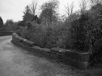 Bridges & Roads for repairs at Westport House, MArch 1983 - Lyons0019016.jpg  Bridges & Roads for repairs at Westport House, March 1983 : 198303 Bridges & Roads for repairs at Westport House 1.tif, Lyons collection, Westport House